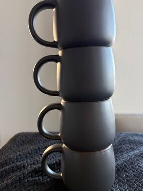 Our Place Night & Day Mugs in Char (Set of 4)